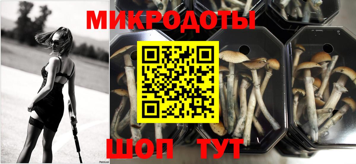 Ртищево  Галлюциногенные грибы MAGIC MUSHROOMS  где можно купить наркотик  Вход с VPN 